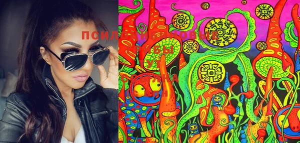 Альфа ПВП Лиски