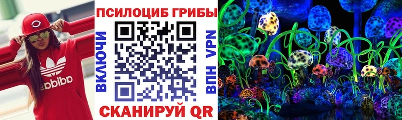 Купить закладки  Барнаул  Галлюциногенные грибы Magic Shrooms 